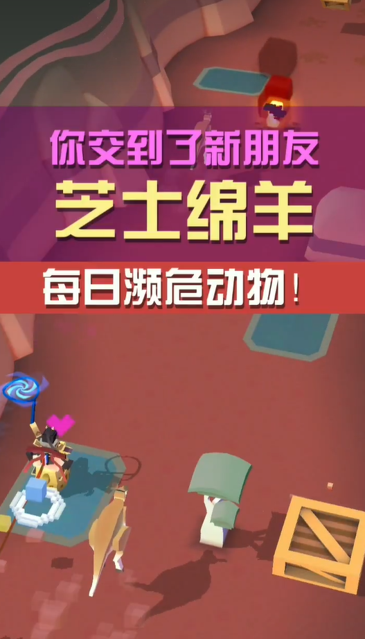 疯狂动物园所有的鸵鸟有哪些种类