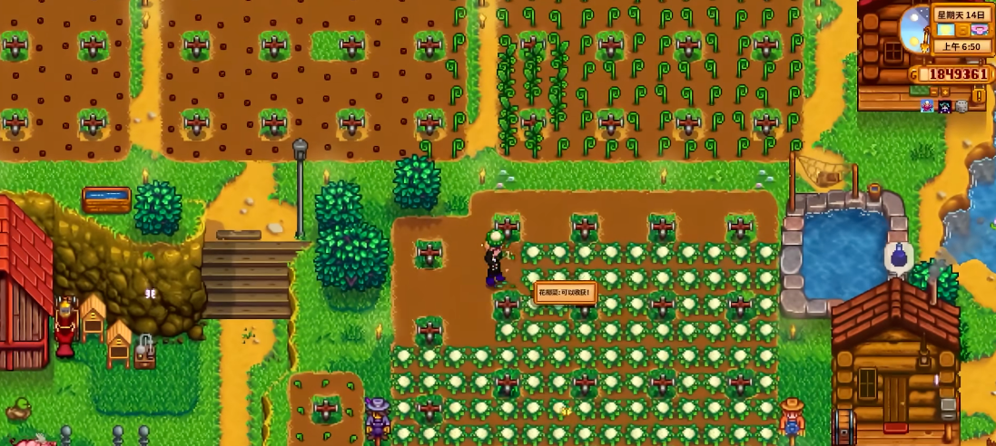 星露谷物语中艾利欧特的家在哪里 星露谷物语中艾利欧特的家在哪里