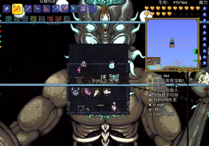 泰拉瑞亚如何进行有效的发育