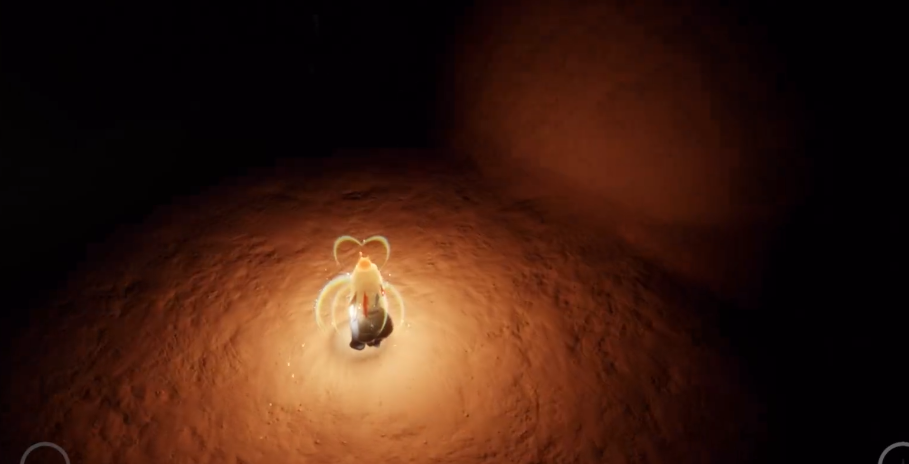 想知道光遇晨岛的彩虹在哪吗