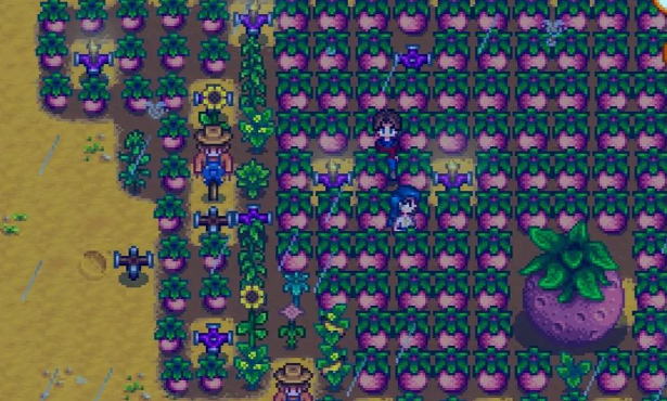 星露谷物语中哪些地方煤矿比较多