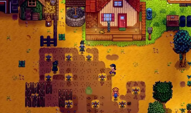 是否有人知道星露谷物语转盘稳赢的技巧