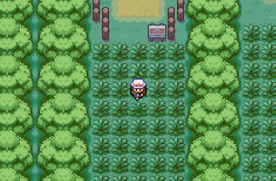 口袋妖怪火红中小火龙是在哪抓的 口袋妖怪火红中小火龙是在哪抓的