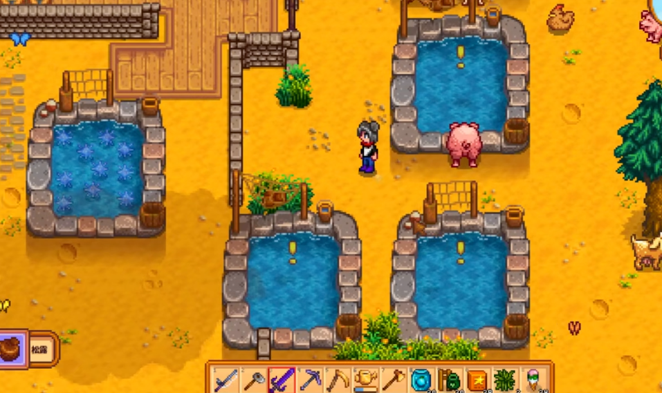 星露谷物语中有哪些适合钓鱼的好地点 星露谷物语中有哪些适合钓鱼的好地点