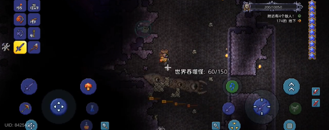 有没有推荐的泰拉瑞亚照明宠物
